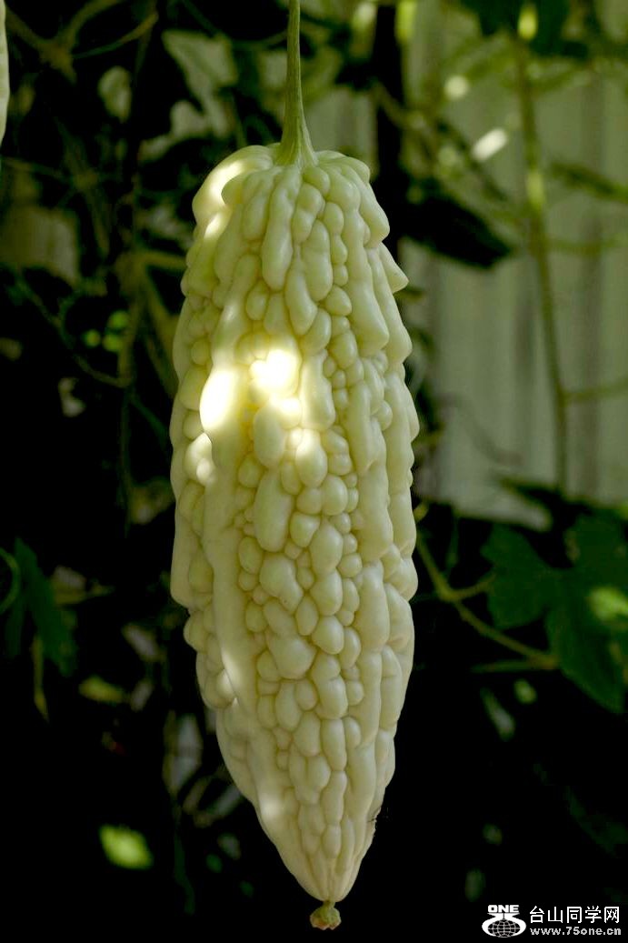 ������С IMG_6850.JPG