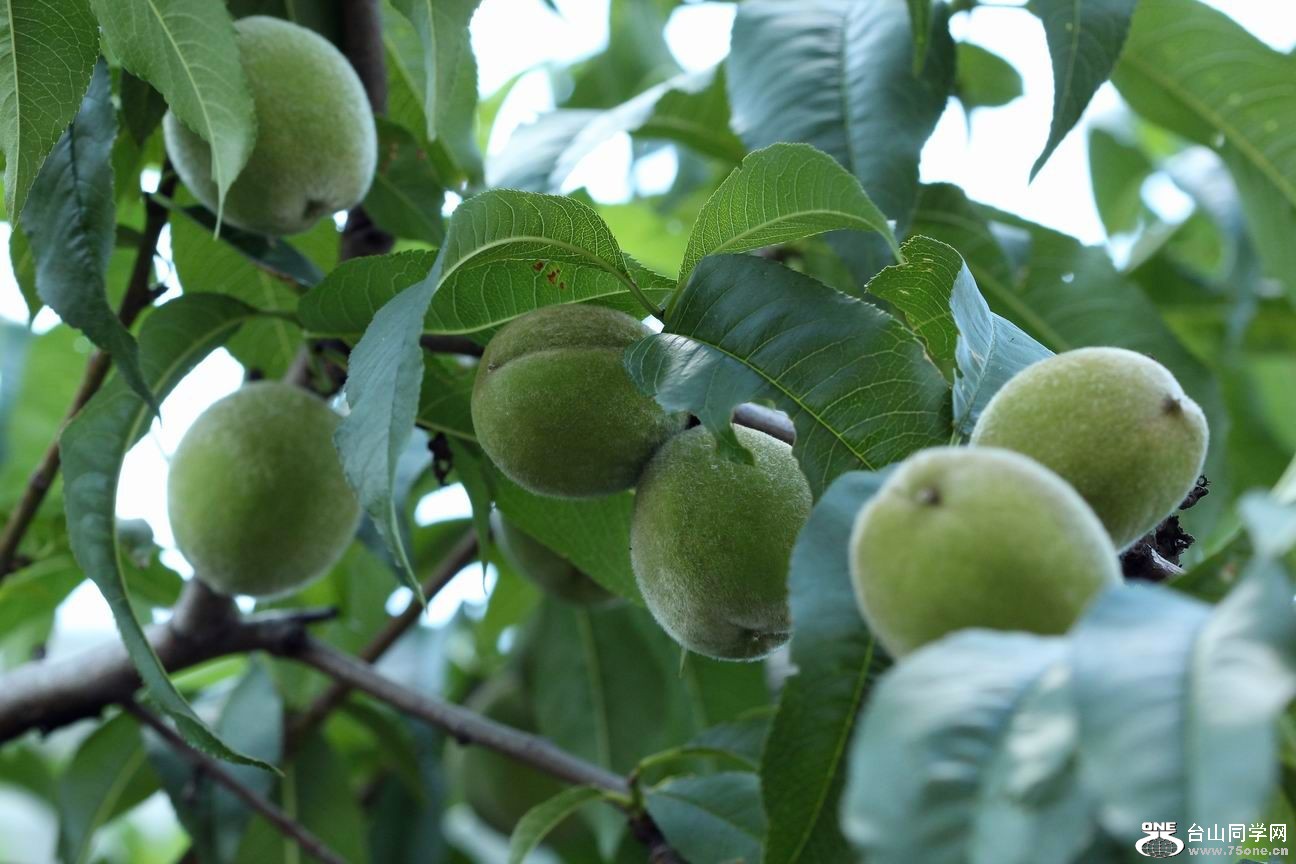 ������С IMG_6729.JPG