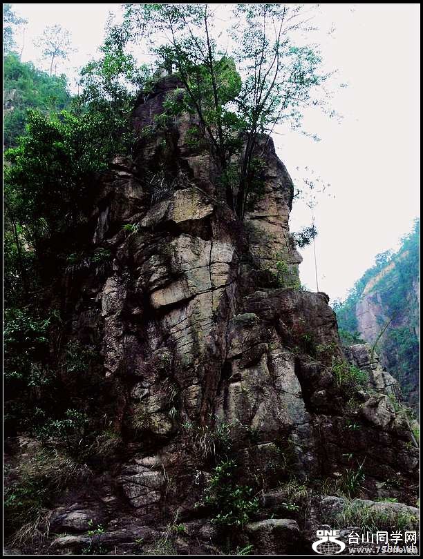 170.jpg