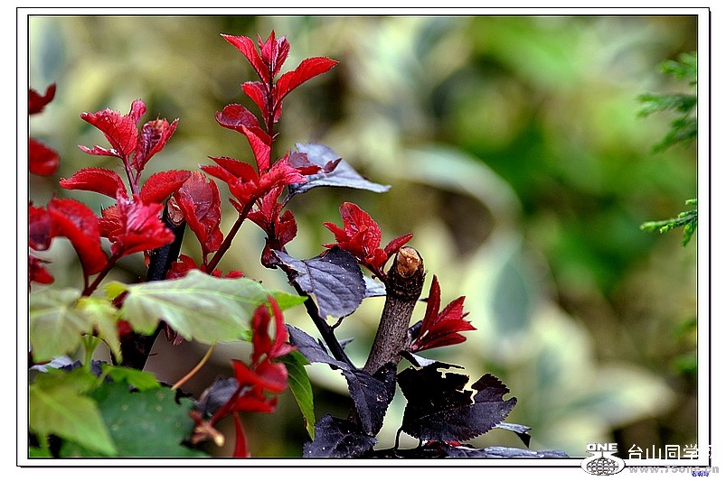 ����������ռ����� 136-1.jpg