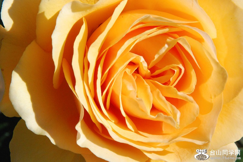 DSC_0276_1.jpg