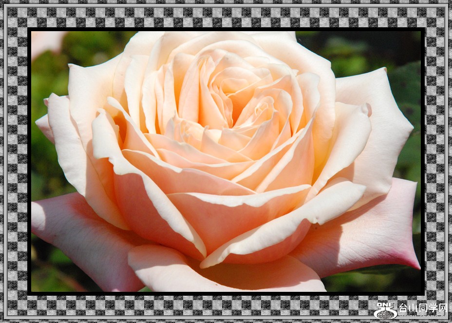 DSC_0228_12.jpg