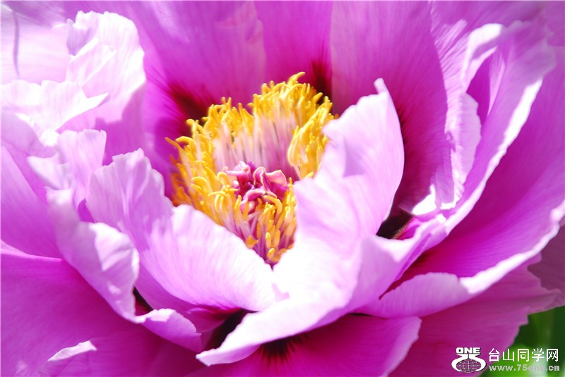 DSC_0105_1.jpg