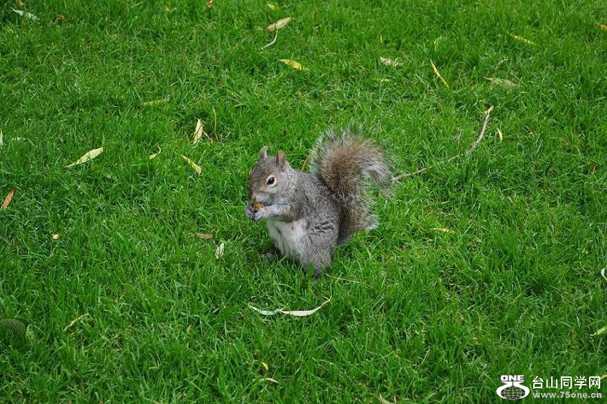 DSC_0643.JPG