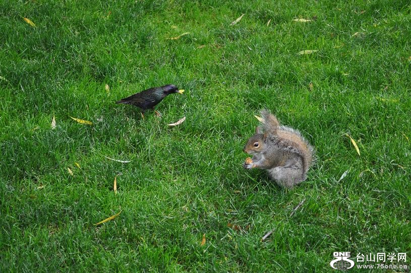 DSC_0646.JPG