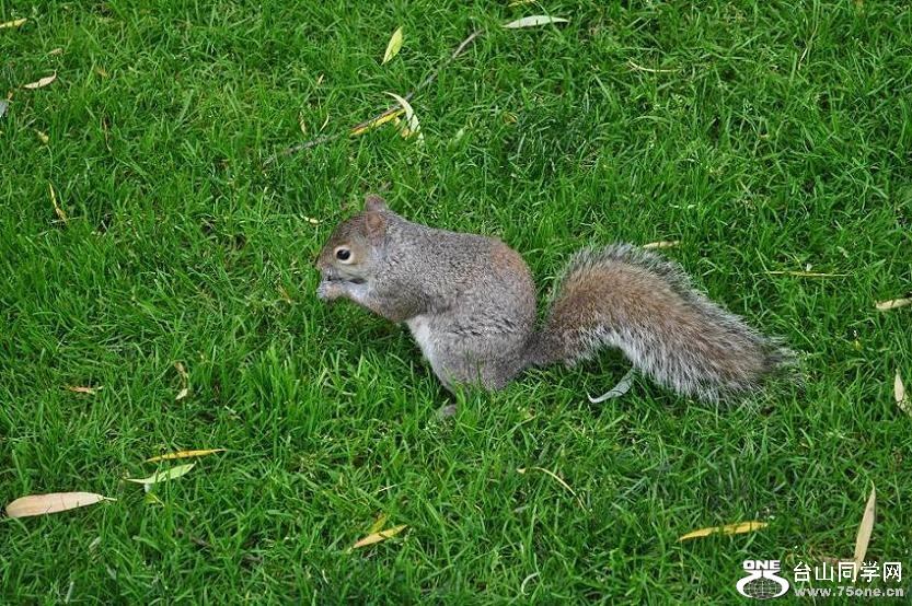 DSC_0644.JPG