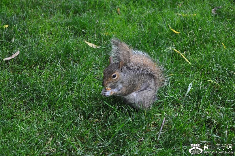 DSC_0649.JPG