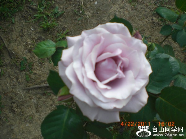 2011_05020263.JPG