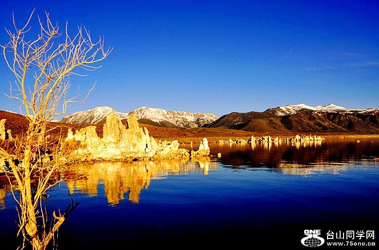 5e74244bg8f4ec1c97f95&amp;690_conew1.jpg