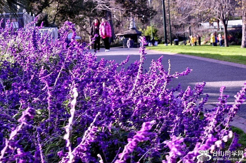 _DSC0200 [800x600].jpg