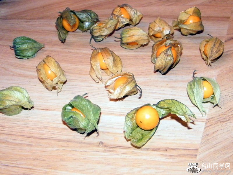 DSCF0216=0.jpg