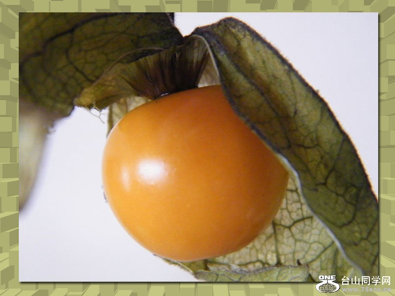 DSCF0260=1.jpg