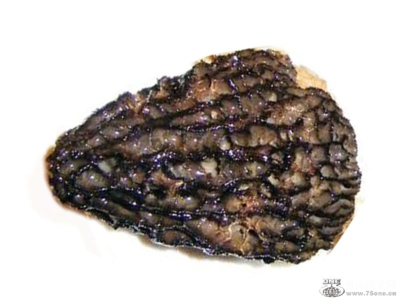 DSCF1550=2.jpg