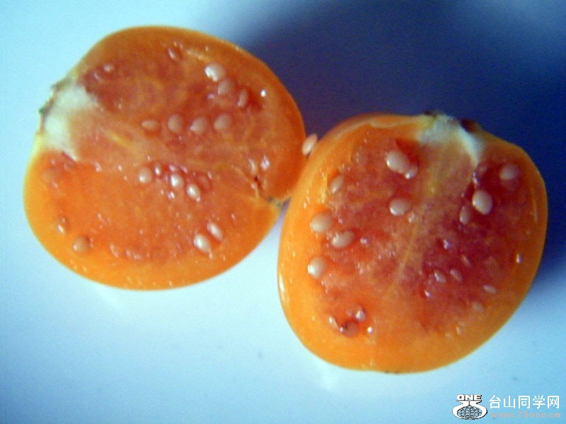 DSCF0397=0.jpg