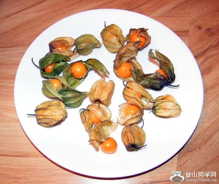 DSCF0209=0.jpg
