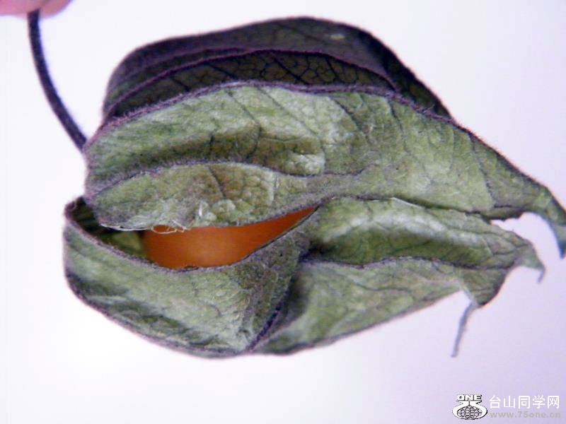 DSCF0264=0.jpg