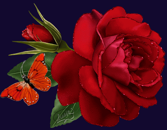 0a42b1355a69270490ef398f[1].gif
