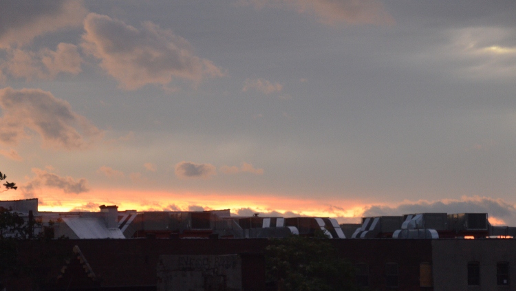 042 (750x423).jpg