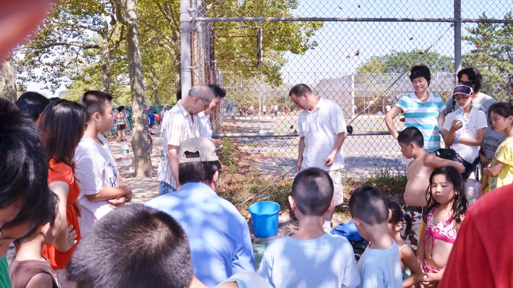 DSC_2528 (1000x562).jpg