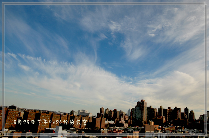Picture 767.jpg
