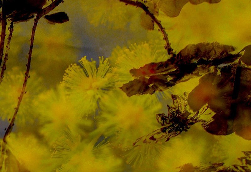 _DSC0021 [800x600] [800x600].jpg