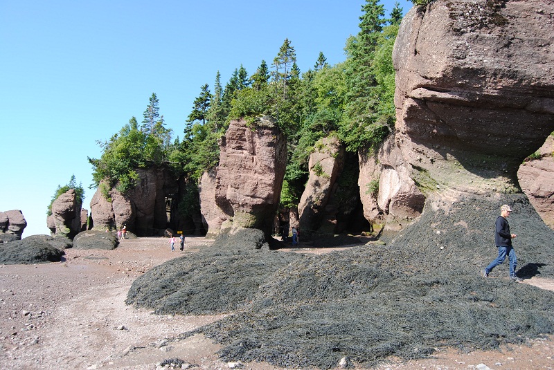 DSC_1753.JPG