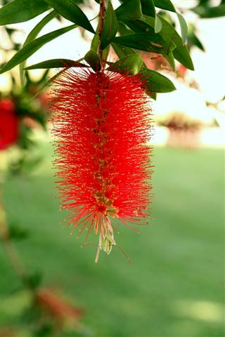 IMG_15788 (Small).jpg