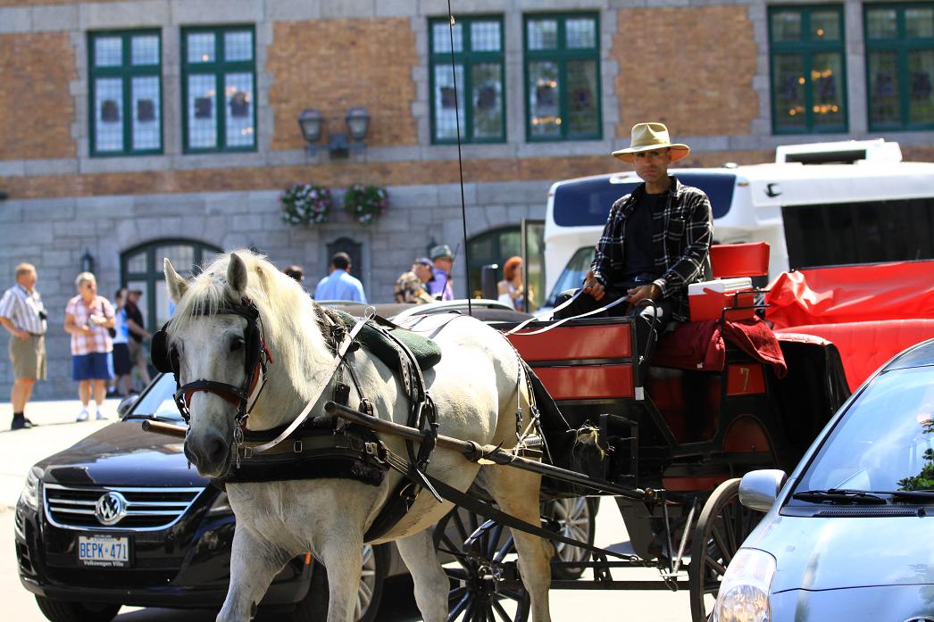 �}�u -002 729.jpg