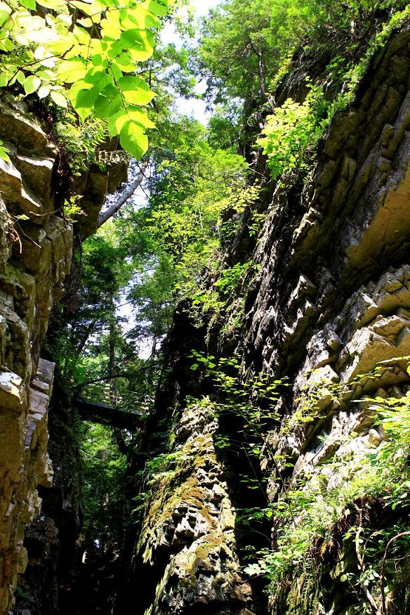 �}�u -001 457c.jpg