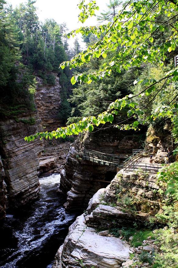 �}�u -001 390c.jpg