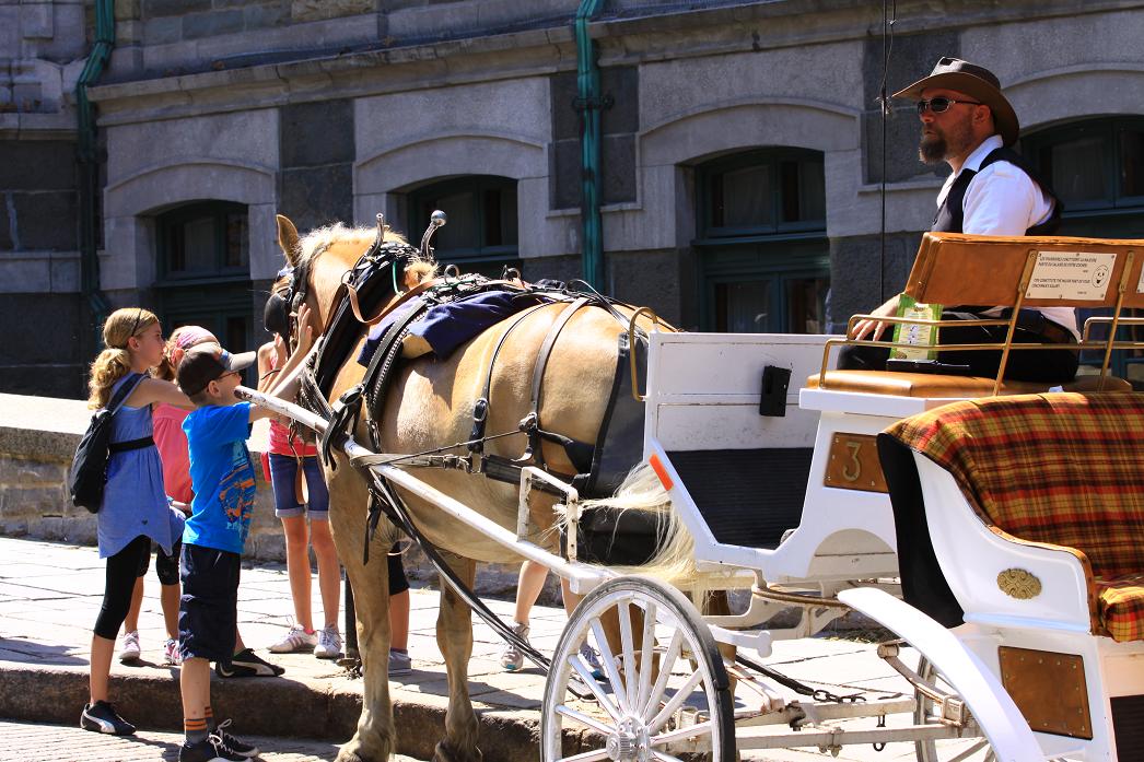 �}�u -002 741.jpg