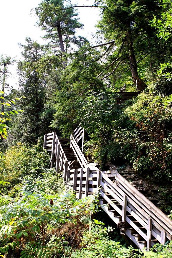 �}�u -001 381c.jpg