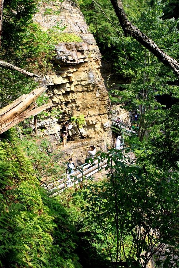 �}�u -001 372c.jpg