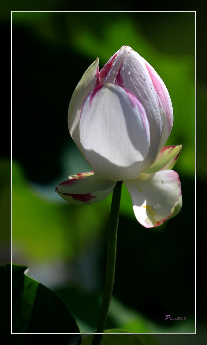 �}�u -27 055cc.jpg