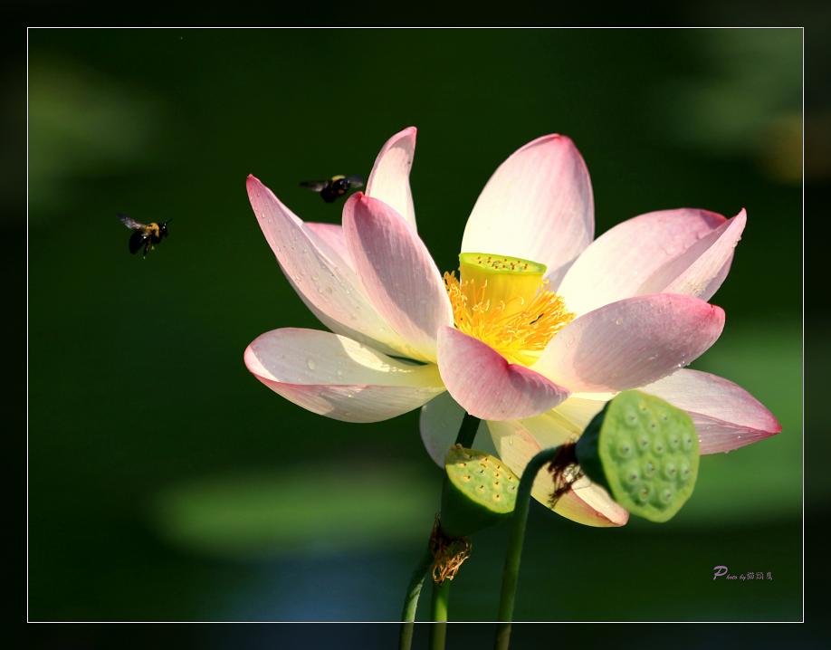 �}�u -28 515cc.jpg