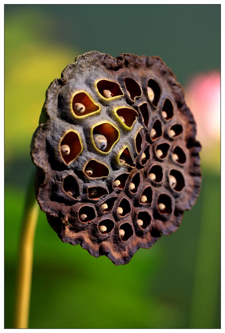 �}�u -28 820cc.jpg