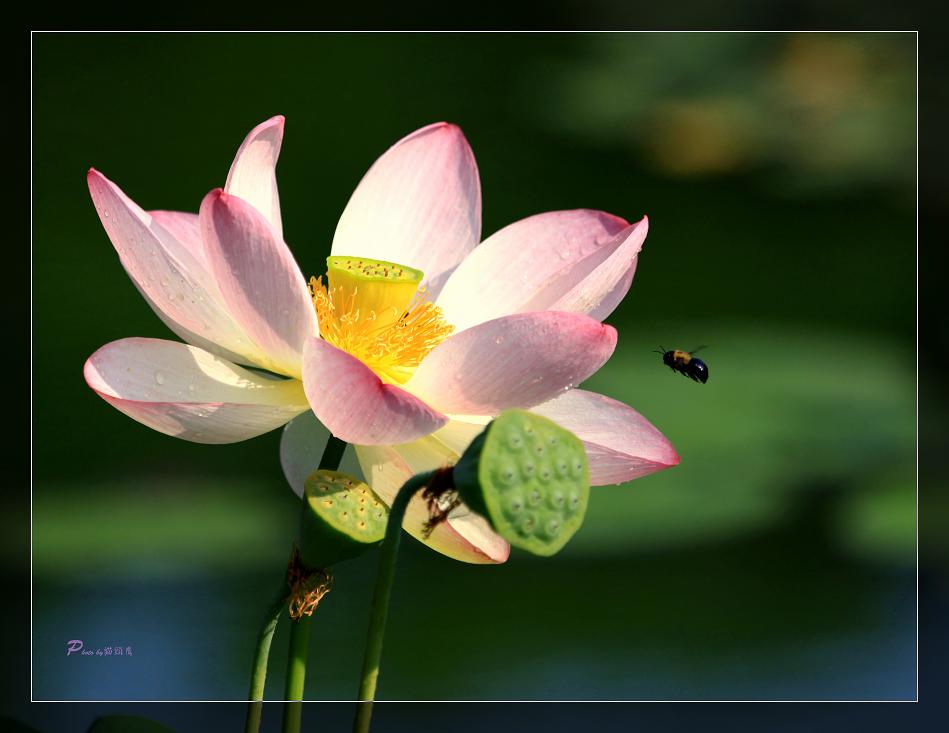 �}�u -28 551ccc.jpg