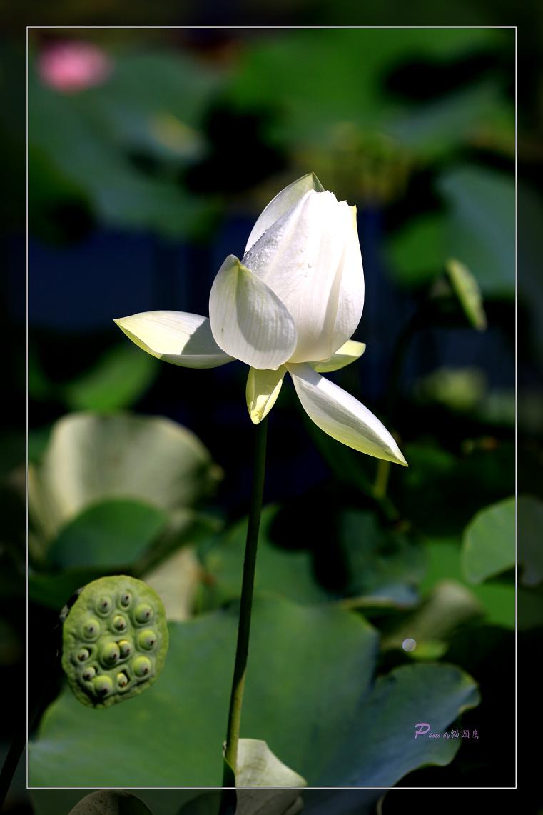 �}�u -27 089cc.jpg