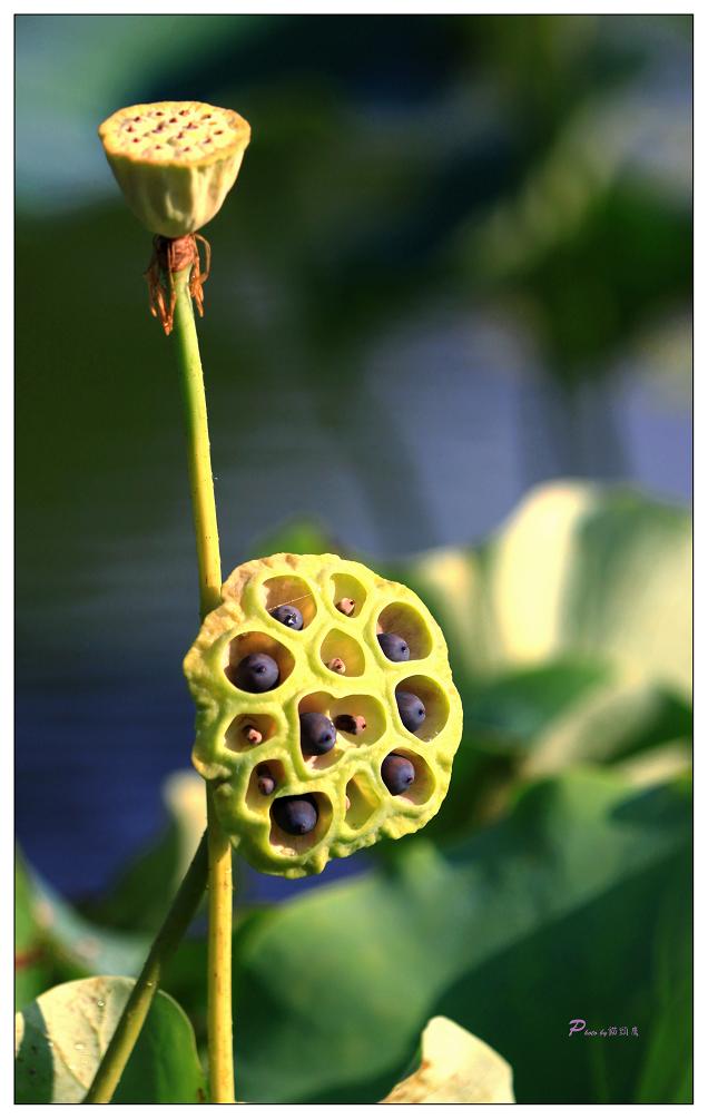 �}�u -30 018c.jpg