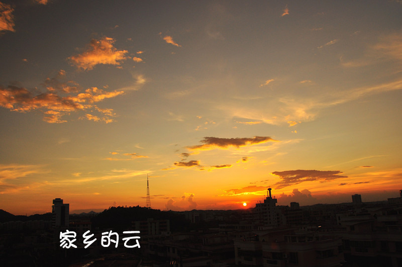 DSC_0084_.jpg