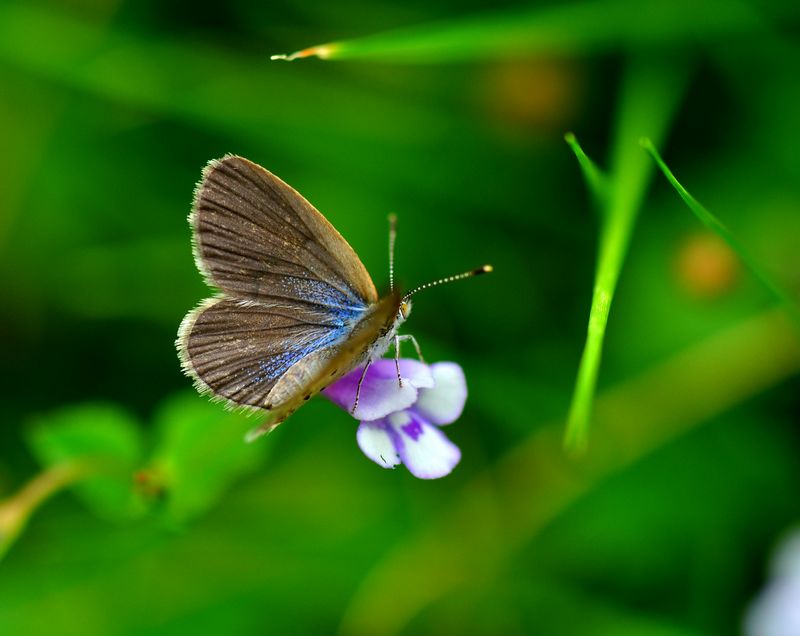 DSC_0131.JPG