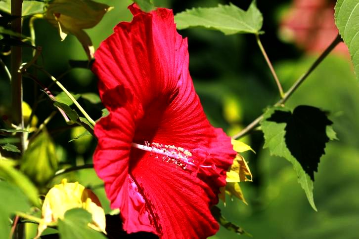 ������С IMG_7511.JPG