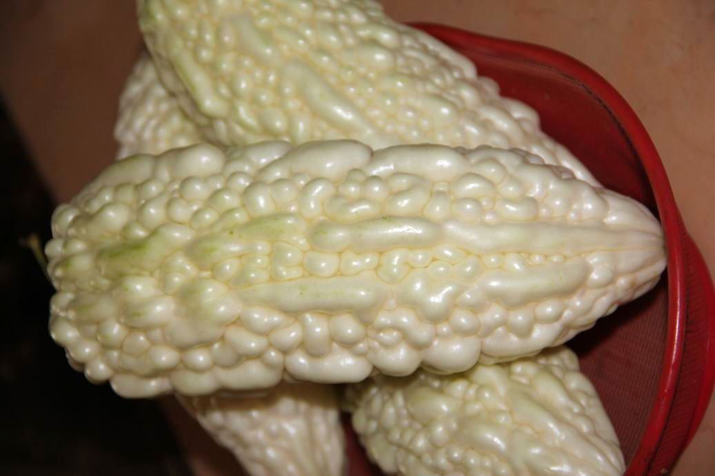 ������С IMG_7136.JPG