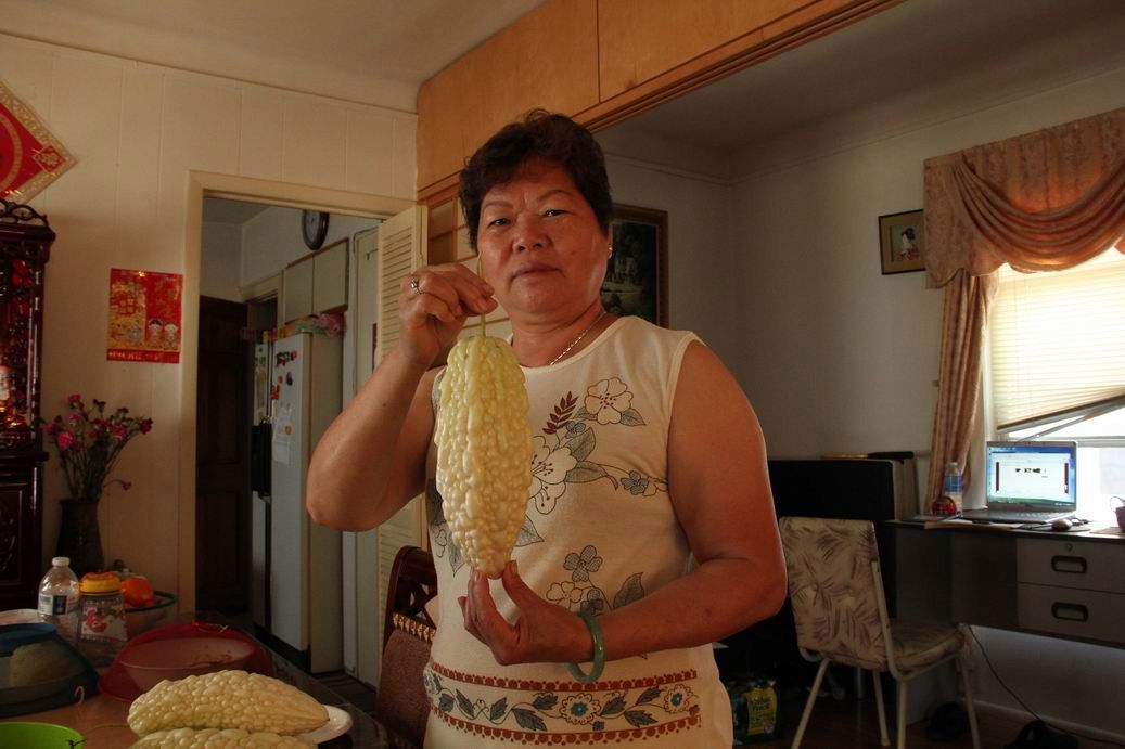 ������С IMG_7141.JPG