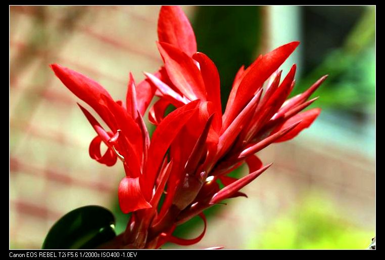 ������С IMG_7509.JPG