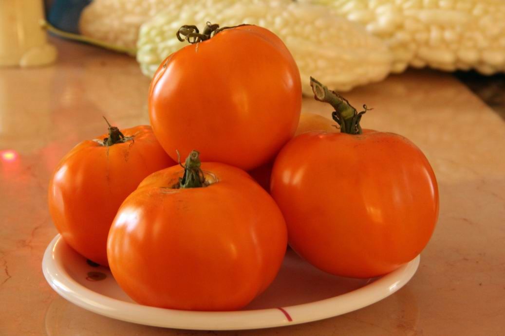 ������С IMG_7138.JPG