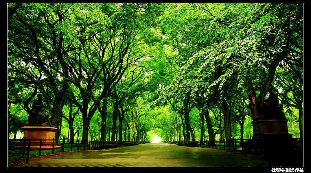 ���� 014����2b.jpg