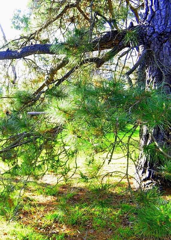 _DSC0189 [800x600].jpg