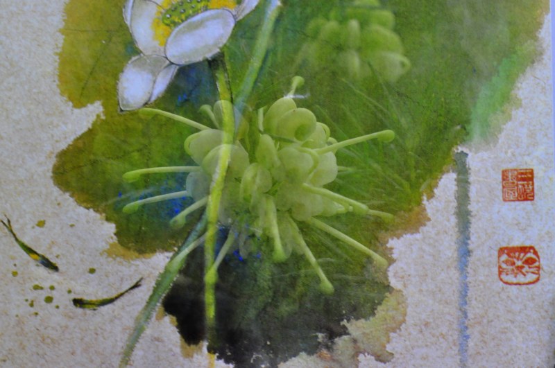 _DSC0090 [800x600] (2).jpg