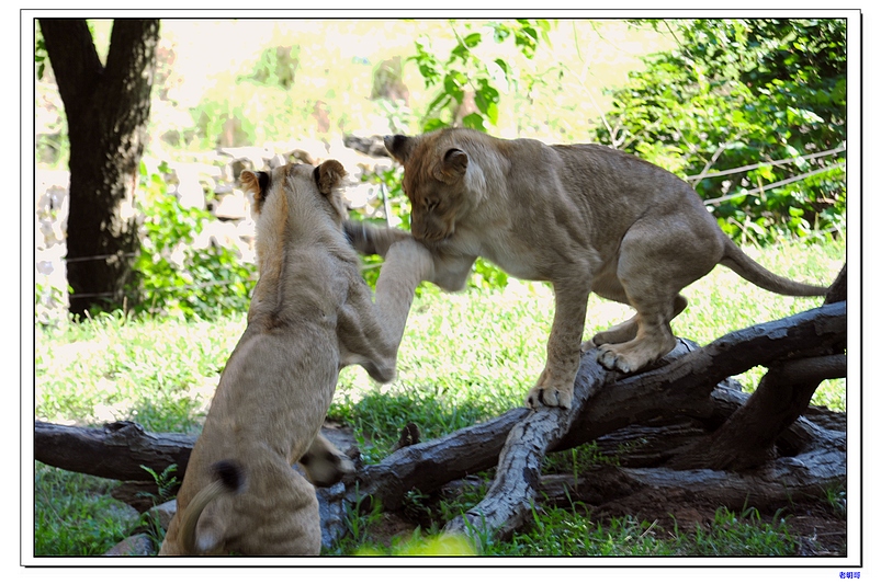 ����԰ 175-1.jpg